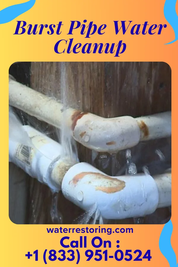 Burst Pipe Water Cleanup in Woodfin, NC