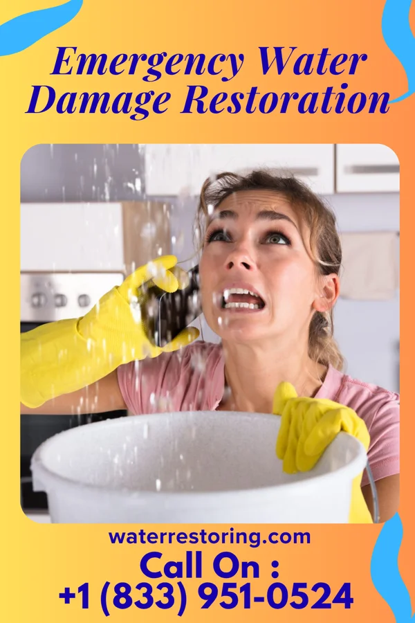 Emergency Water Damage Restoration in Woodfin, NC