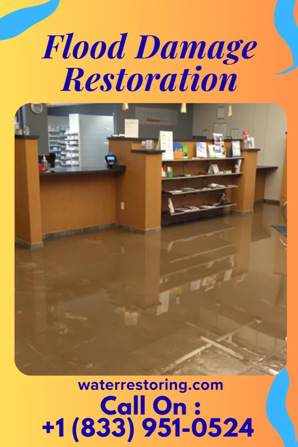 Flood Damage Restoration in Woodfin, NC